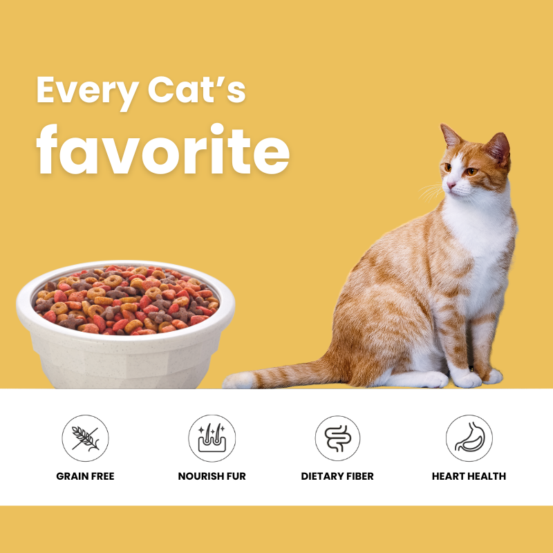 NZCeline's Salmon Dry Cat Food 1.5KG