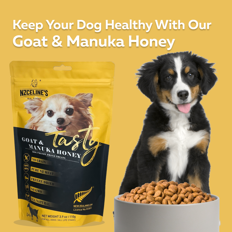 NZCeline's Tasty Goat and Manuka Honey Freeze Dried Dog Treat 110G